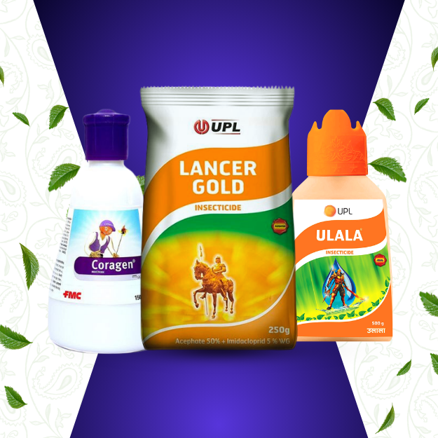 INSECTICIDES