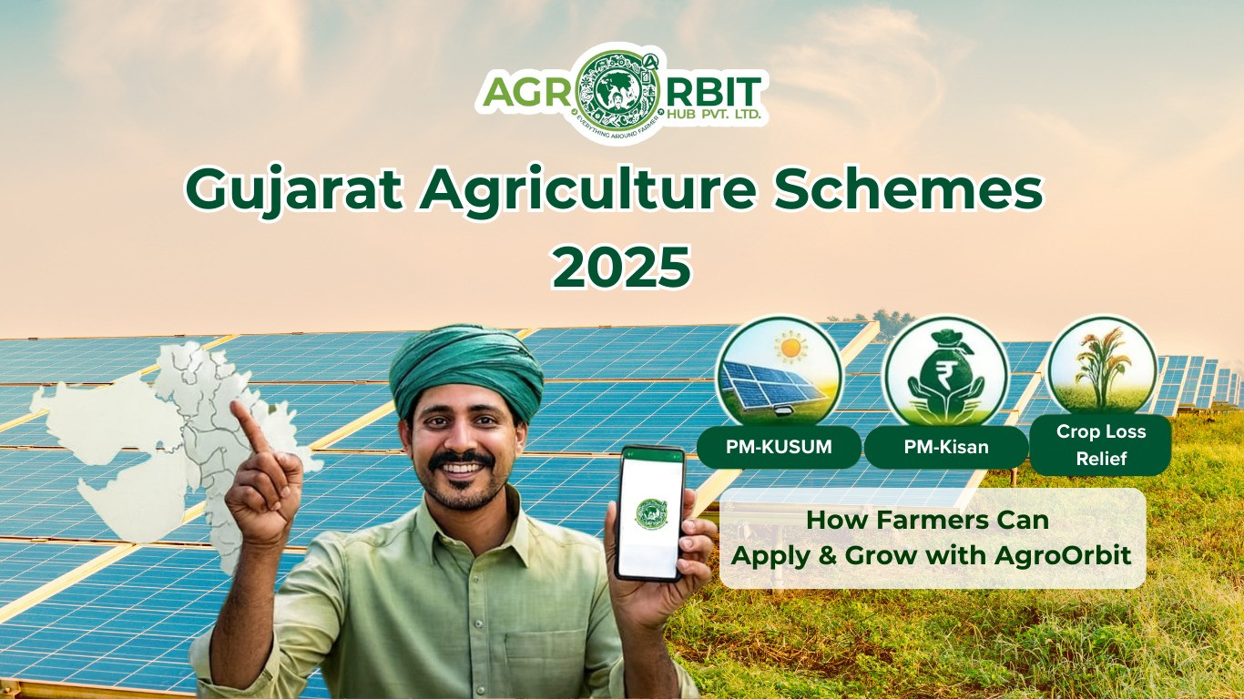 Best Fertilizer for Cotton in Maharashtra: Complete Guide for Higher Yield guide with agro orbit