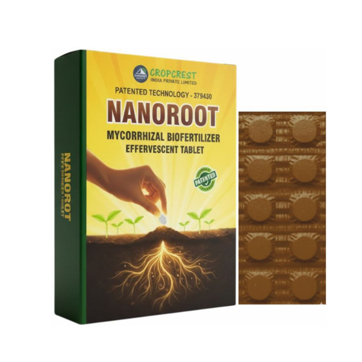 NANOROOT