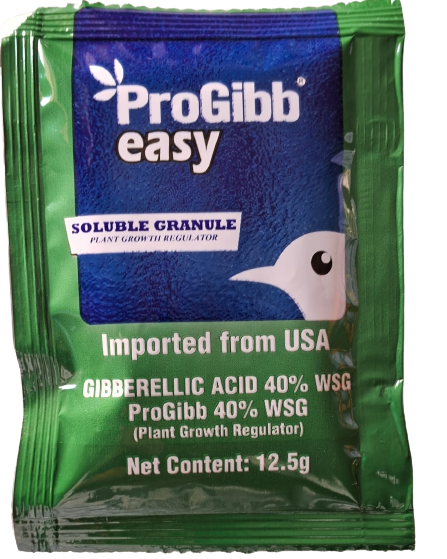 Progibb Easy