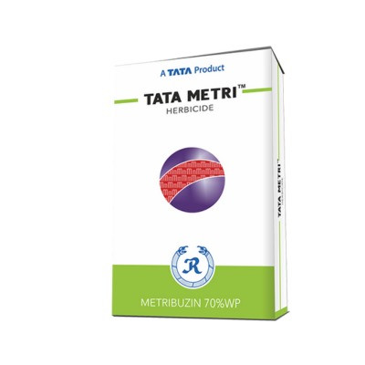 Tata Metri