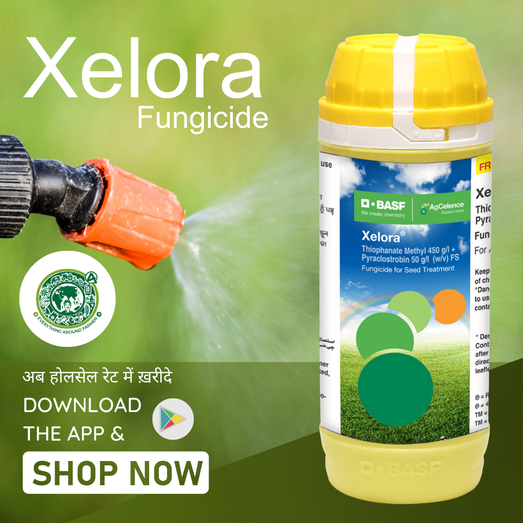 Xelora: Revolutionizing Indian Agriculture with Online Purchase of Organic Fertilizers through Agroorbit