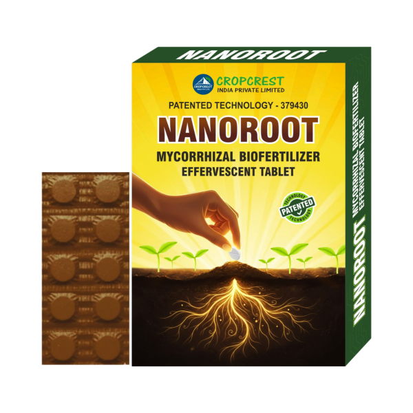 NANOROOT