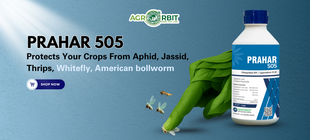 Agro Orbit Hub Pvt ltd promo